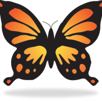 Colorful butterfly transformation concept
